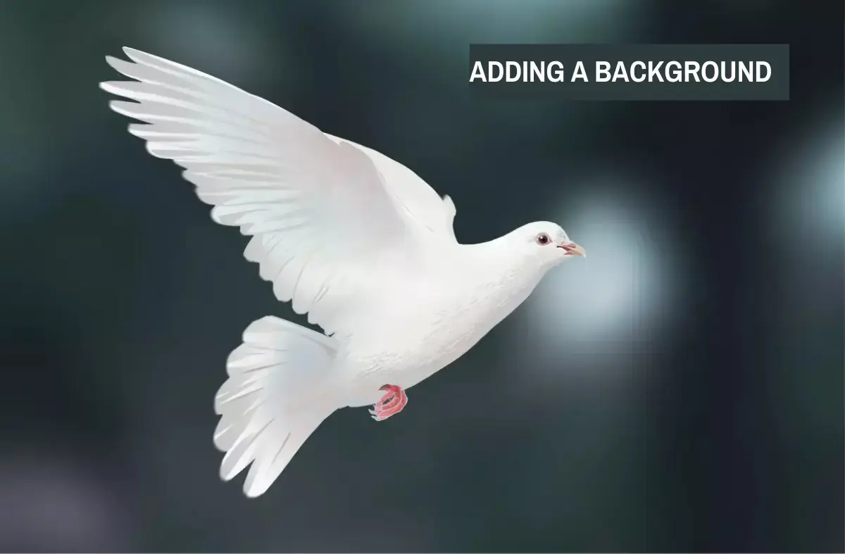 drawing of a dove with a background