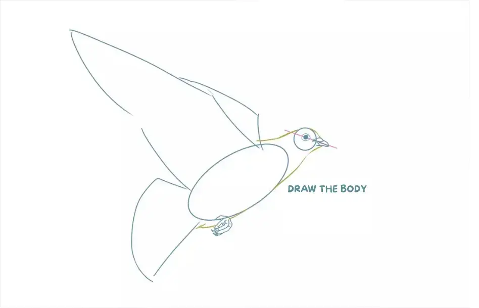 outline drawing of a dove's body