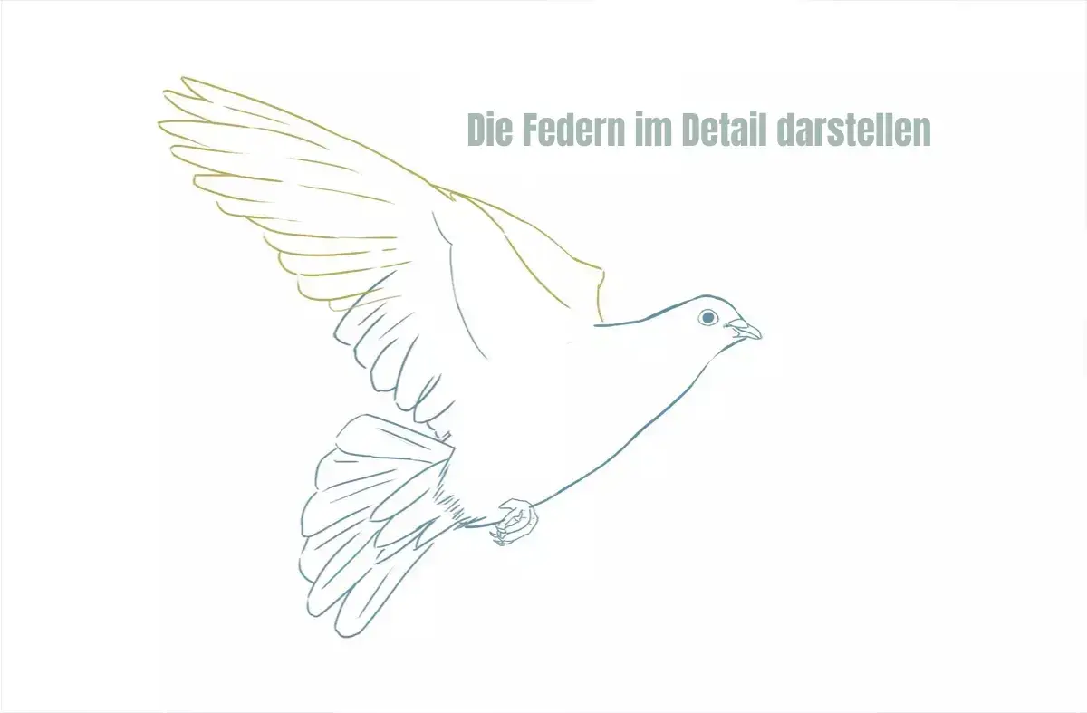 detaillierte Zeichnung der Federn einer Taube