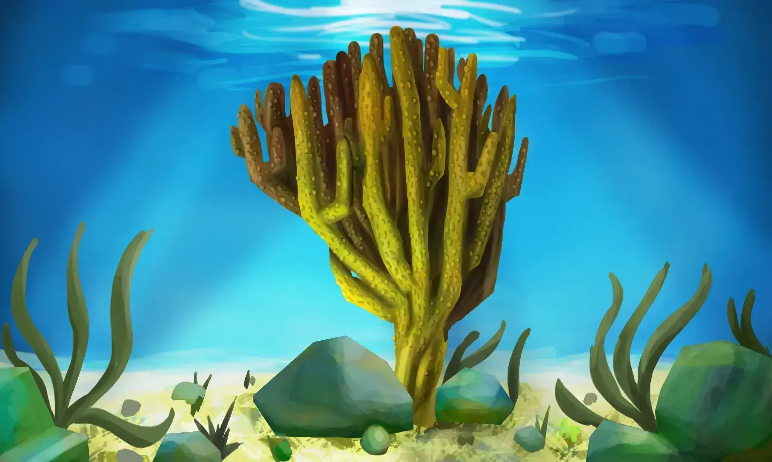 Cómo dibujar un coral