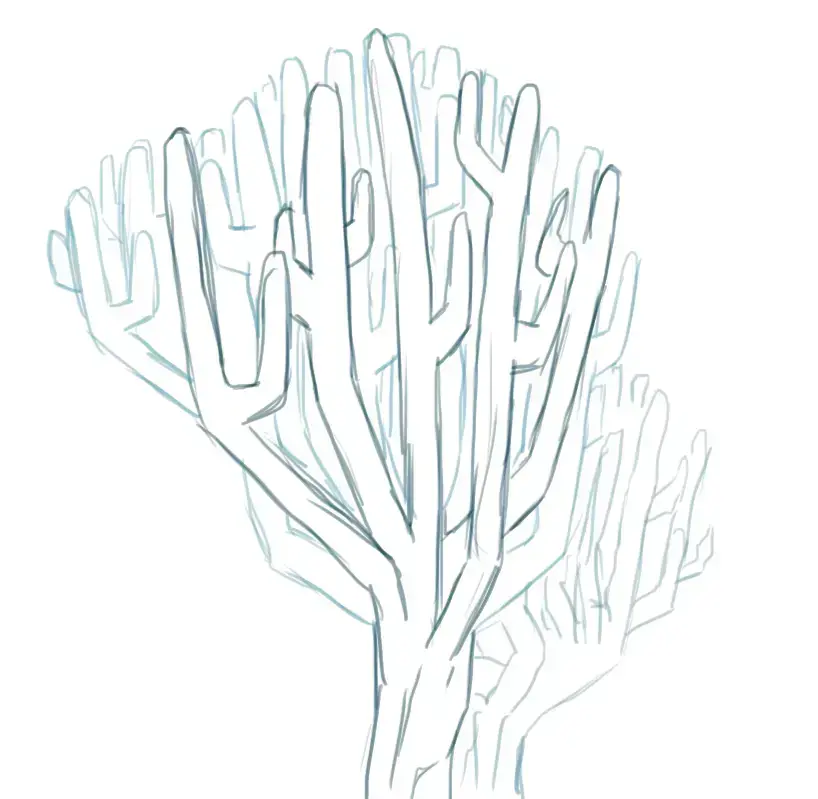 dessiner les motifs d’un corail