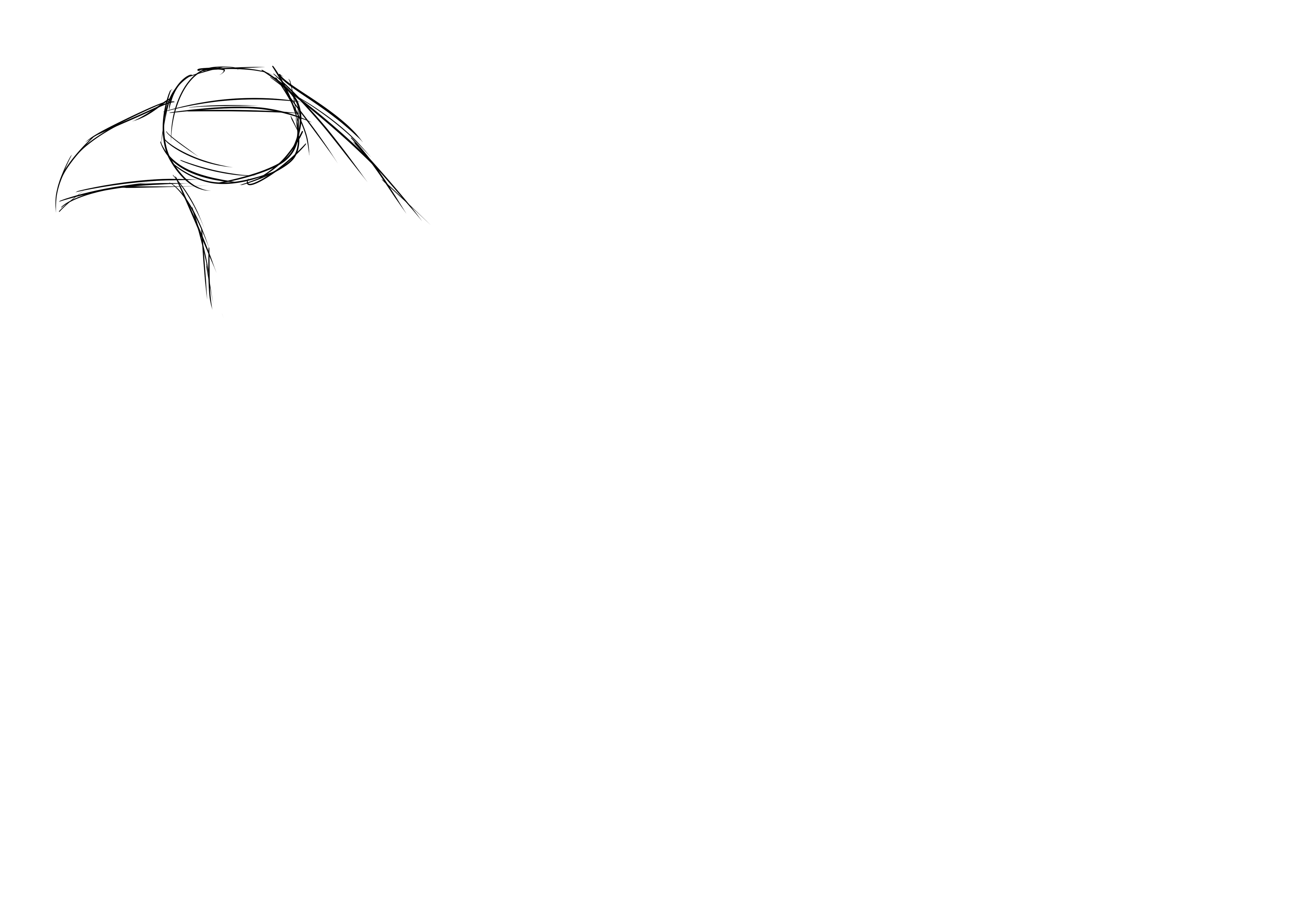 Comment dessiner un corbeau, etape 1