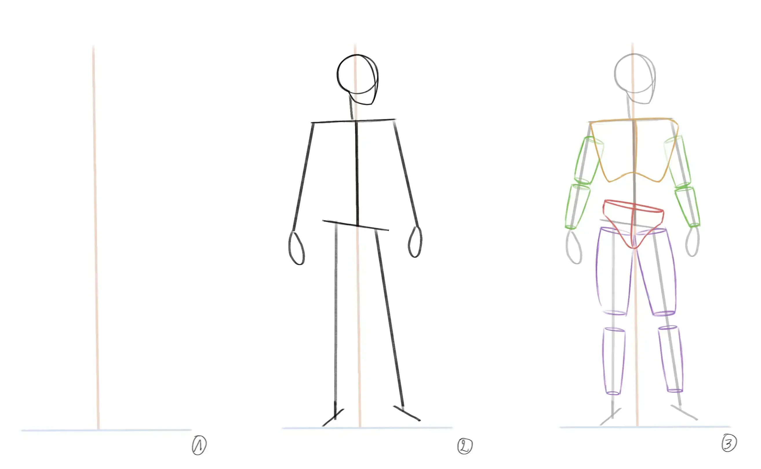 dessiner la base du corps d’un homme