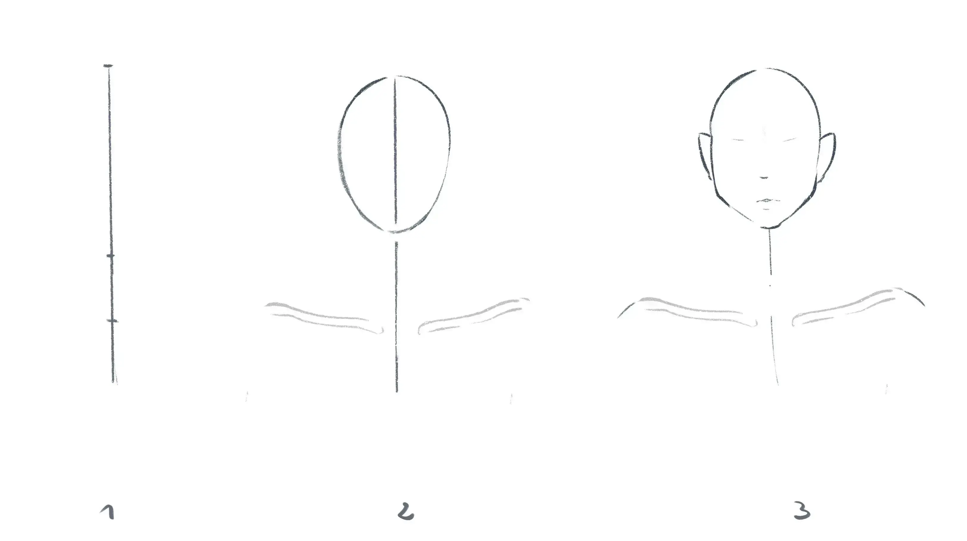dessiner la base d’un cou de face
