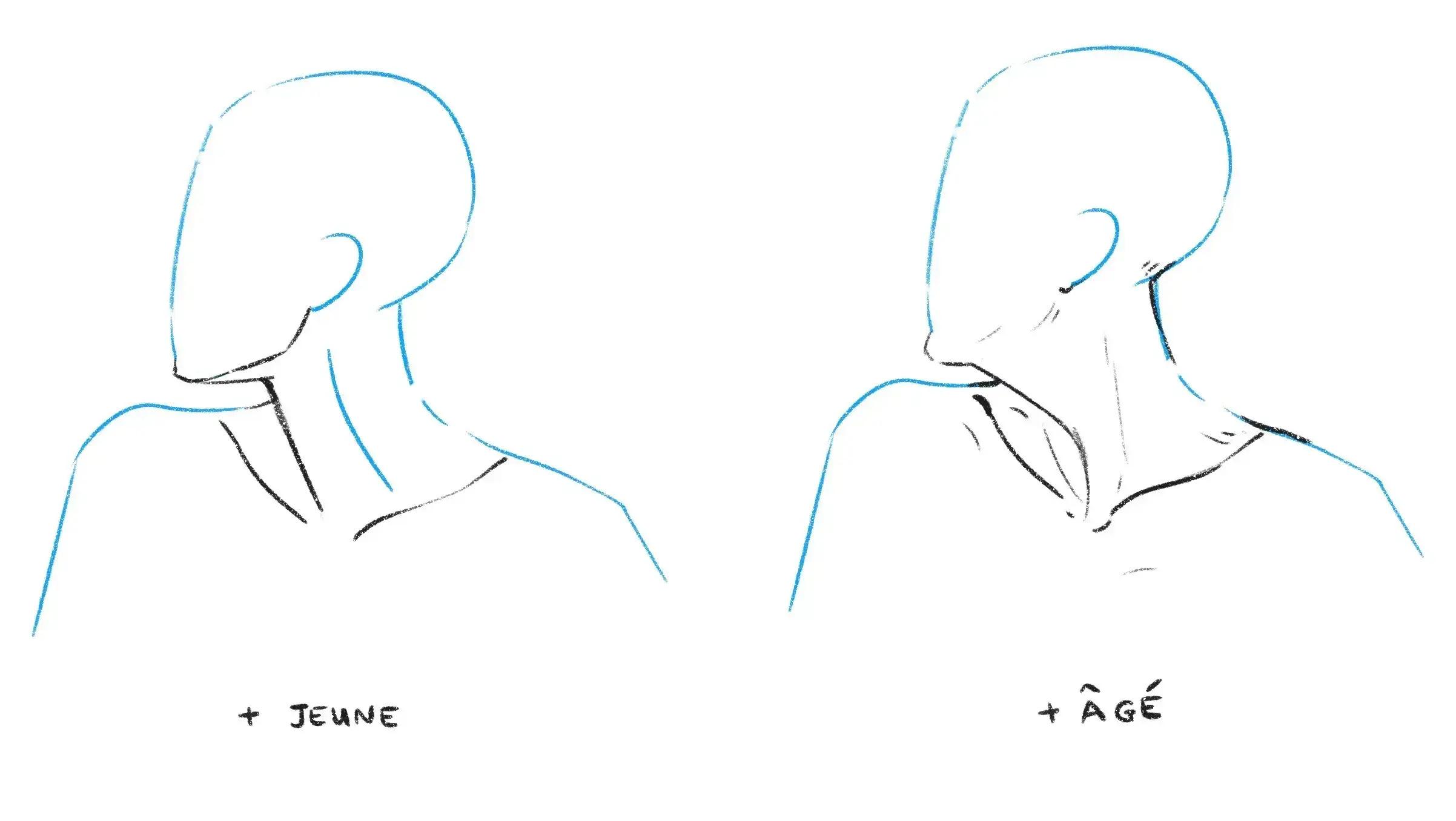 dessiner le cou d’une personne âgée