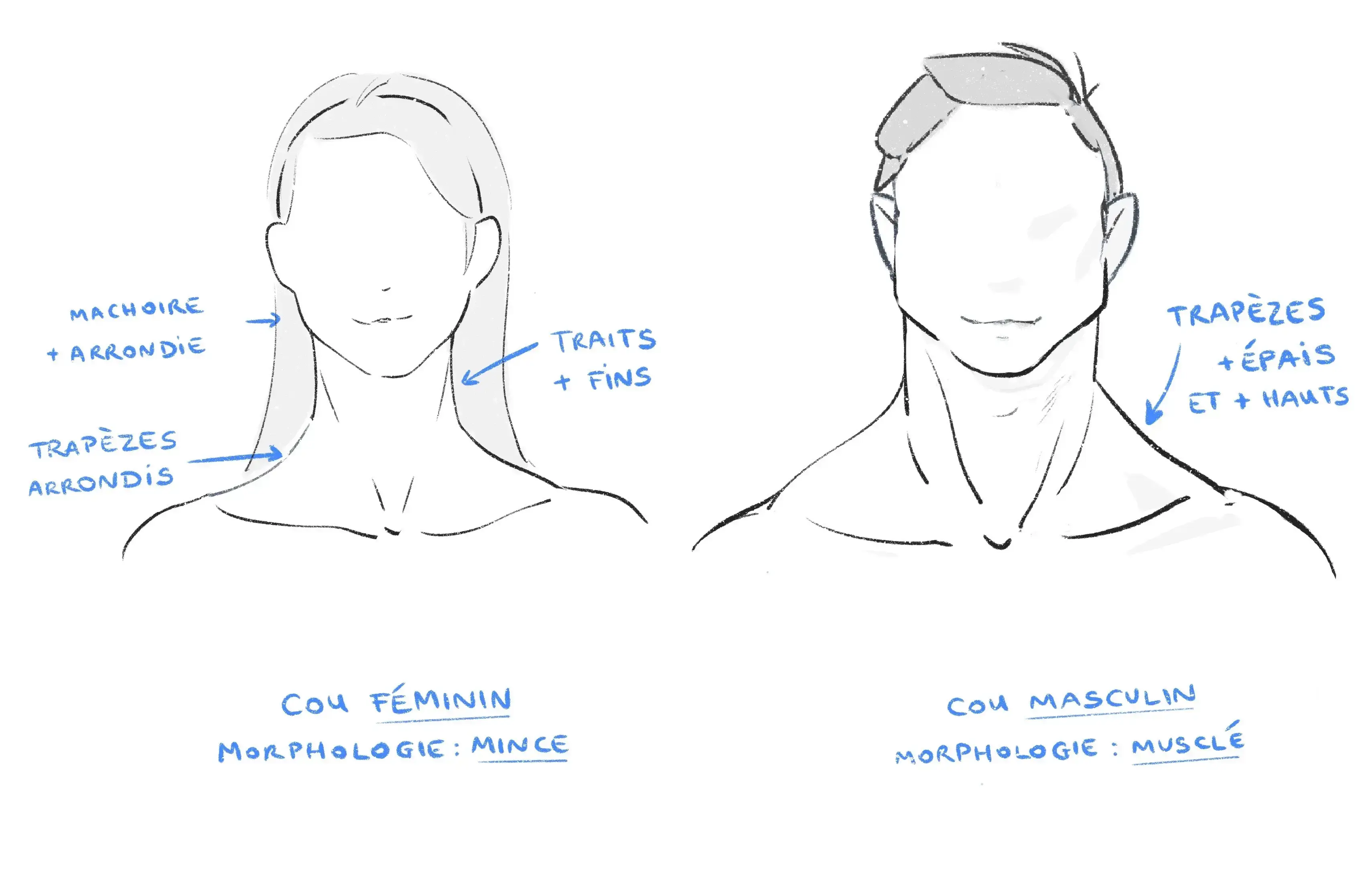 dessiner le cou d’un homme et d’une homme