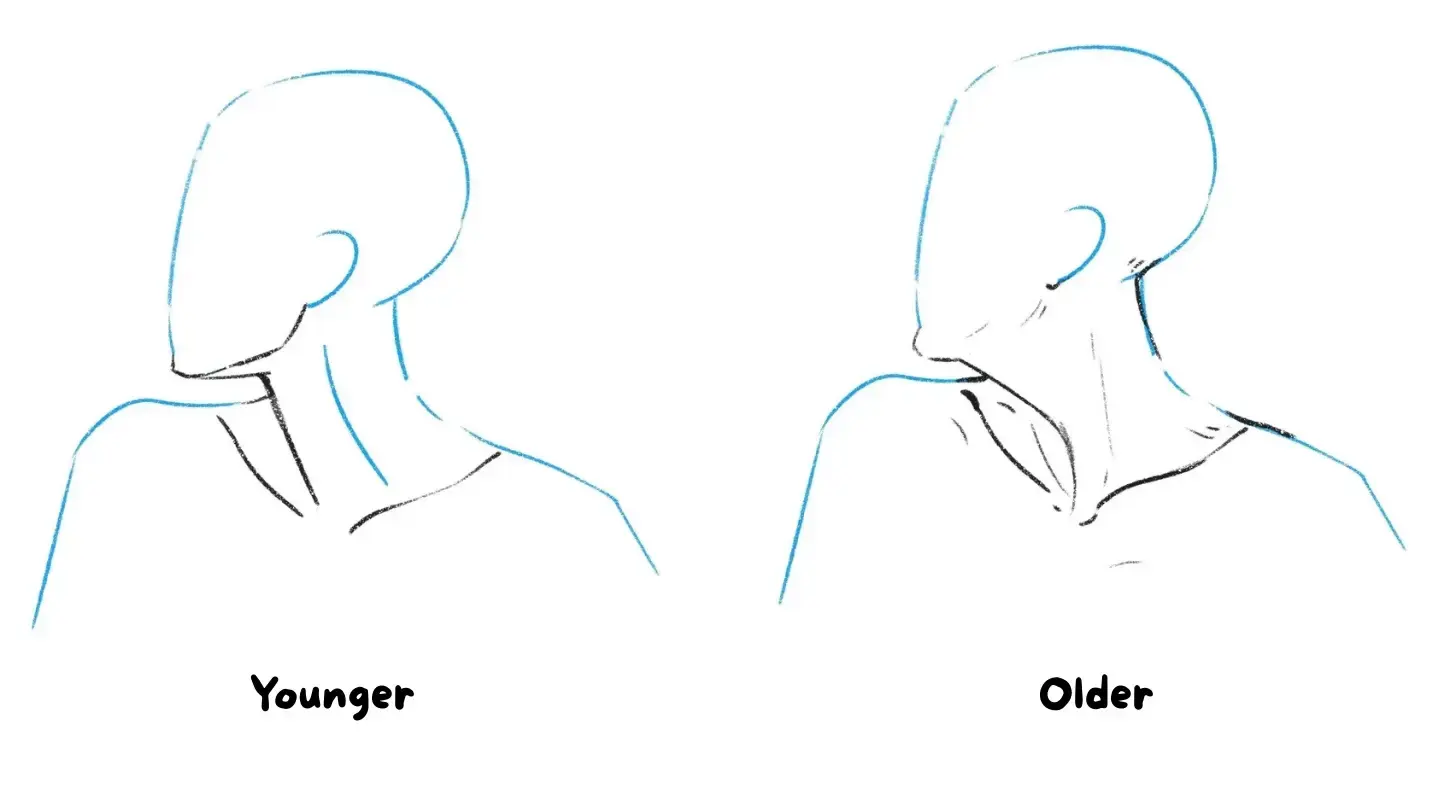 How to Draw a Neck