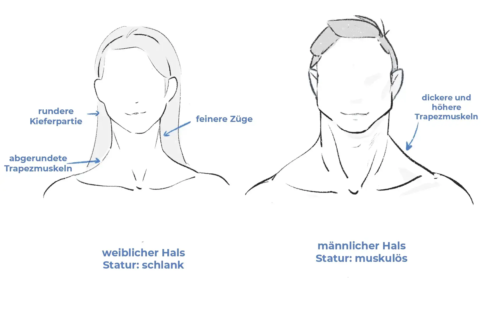 den Hals eines Mannes und einer Frau zeichnen