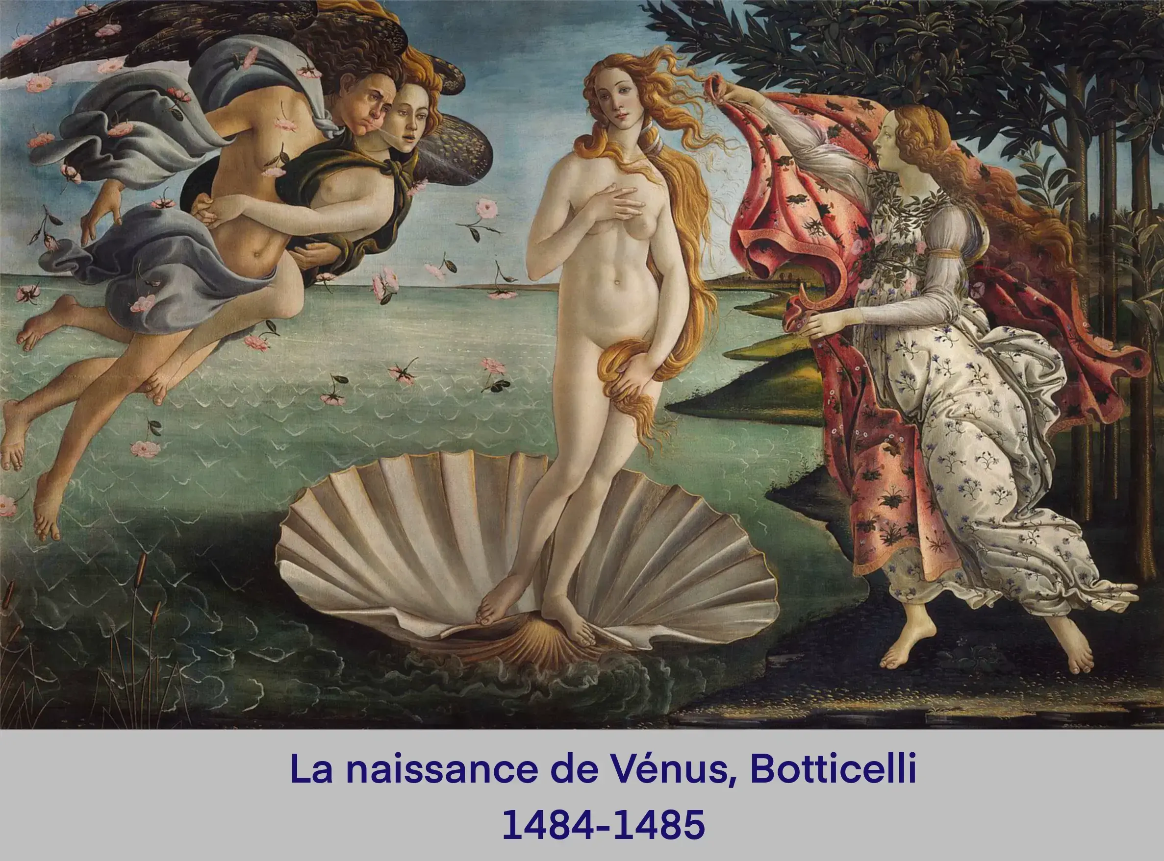 Renaissance, la naissance de Vénus, Botticelli