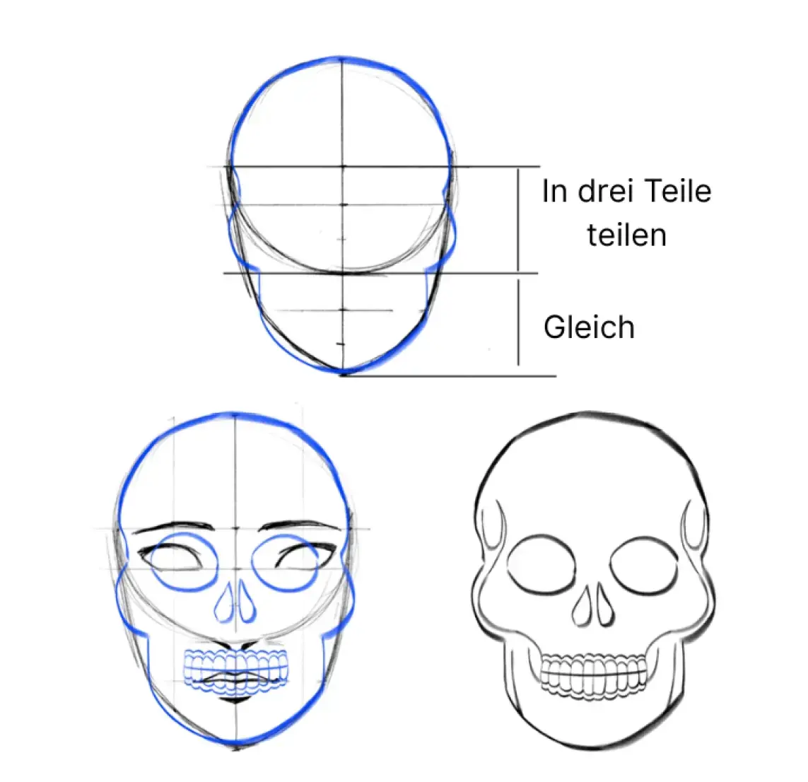 die Proportionen des mexikanischen Schädels zeichnen