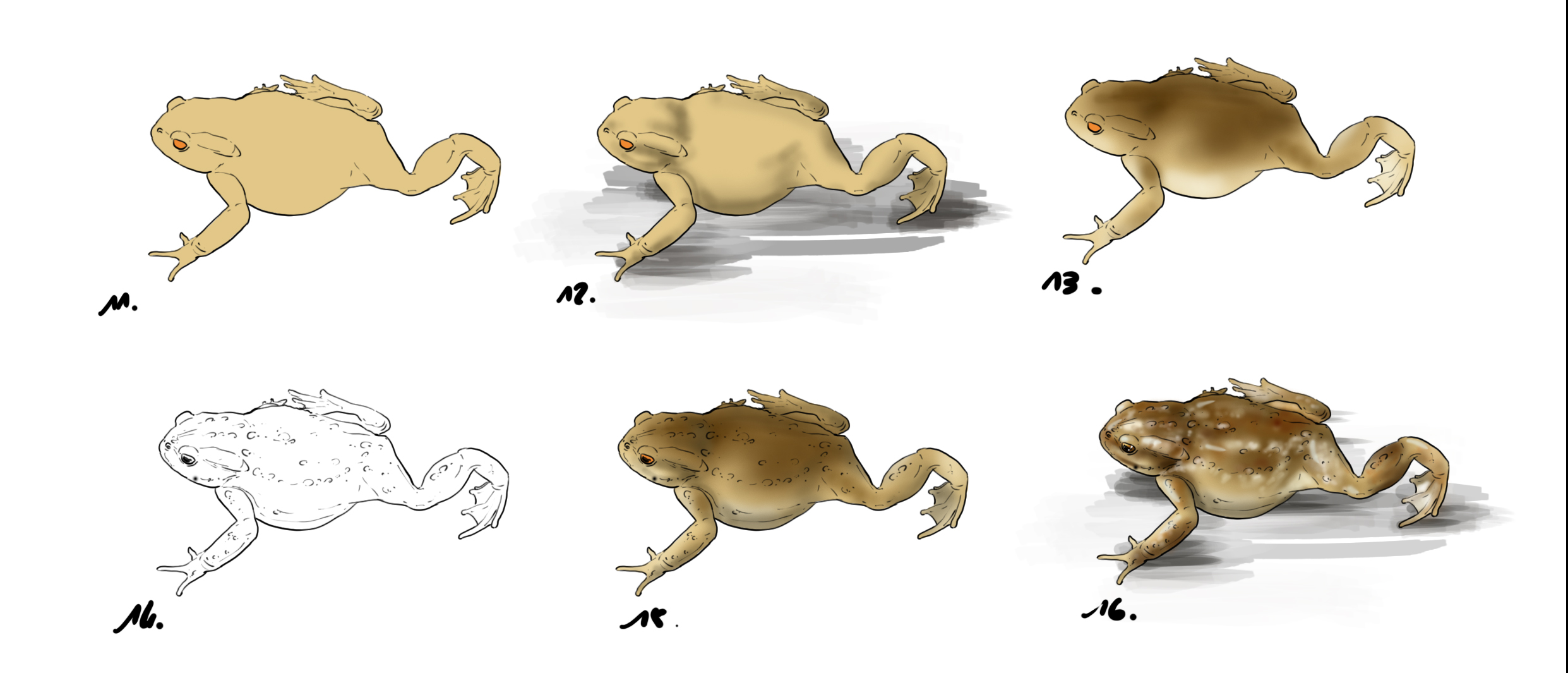 Cómo dibujar un sapo