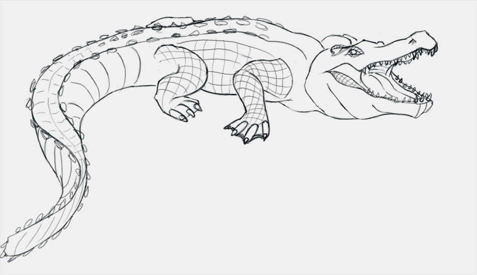 Cómo dibujar un cocodrilo