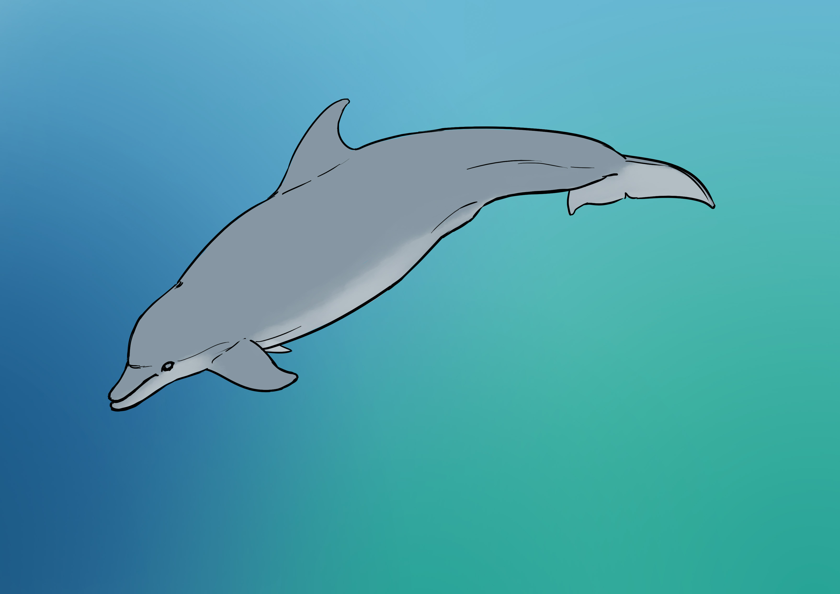Die Farbe auf den Delfin auftragen