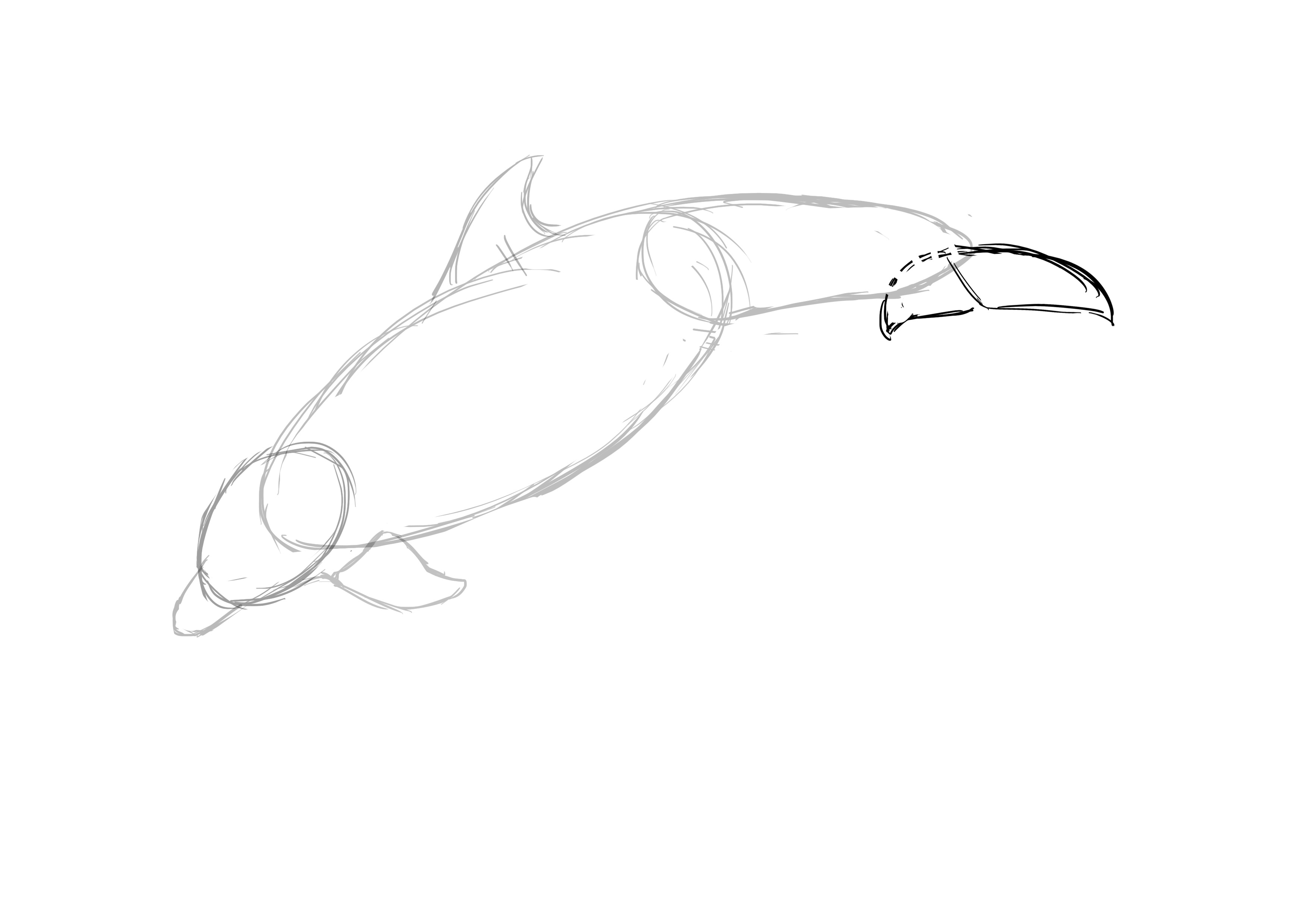 Die Schwanzflosse des Delphins zeichnen