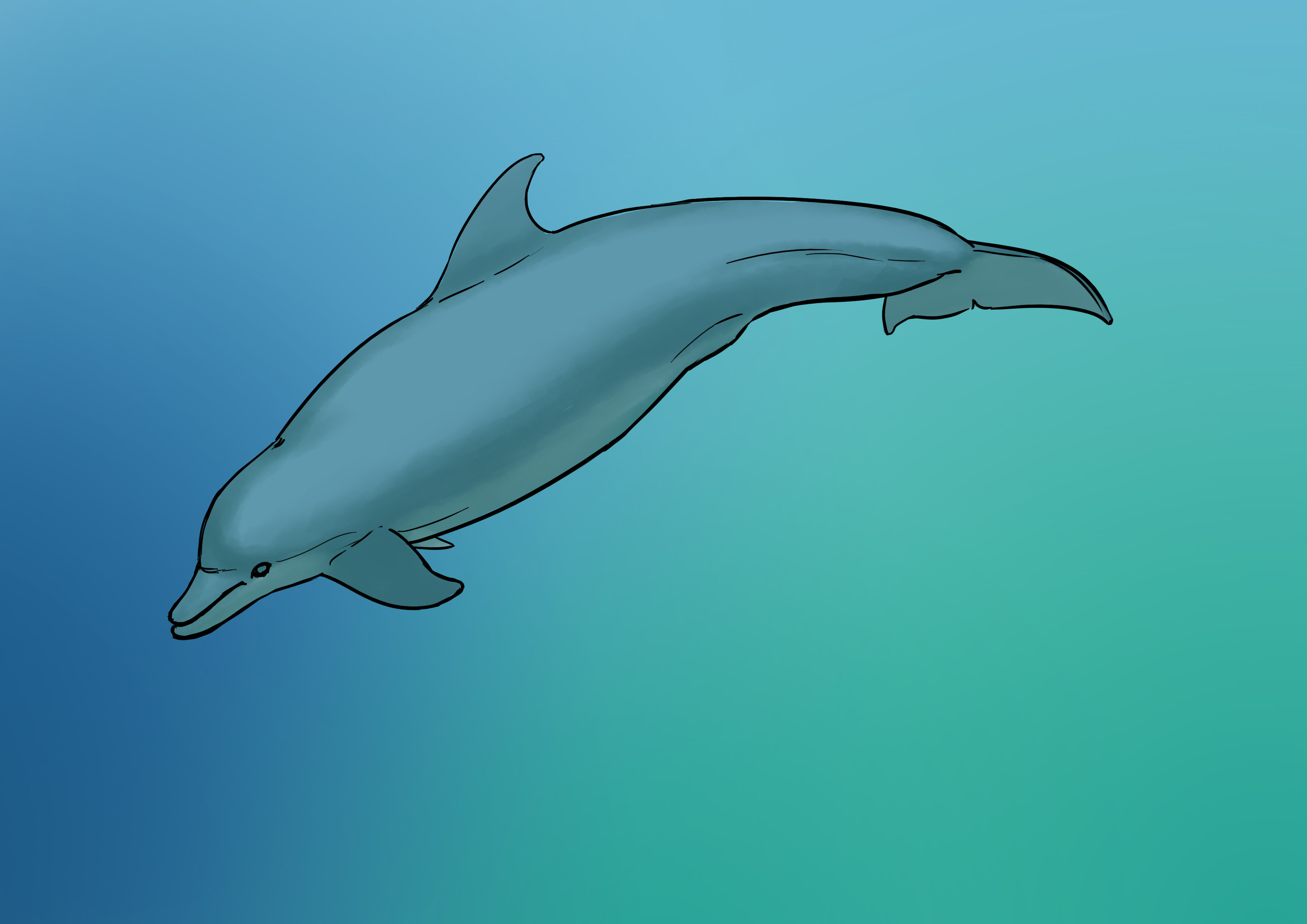 Schattierung der Delfinzeichnung