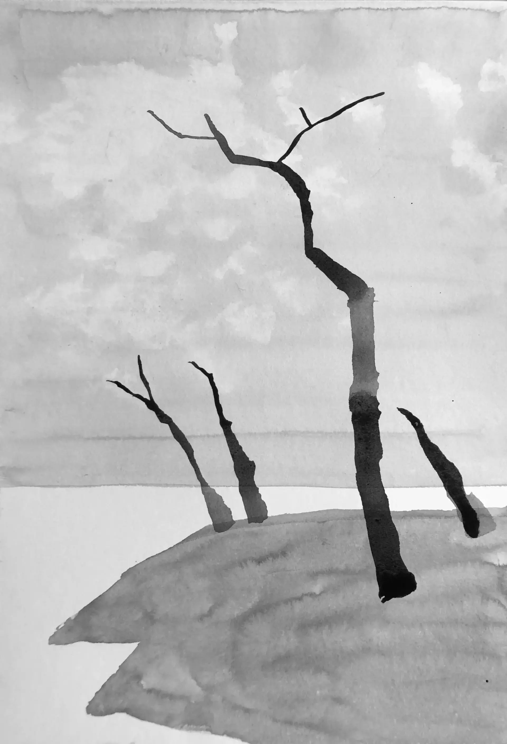 dessiner les troncs d'arbres quand on débute à l’encre de chine