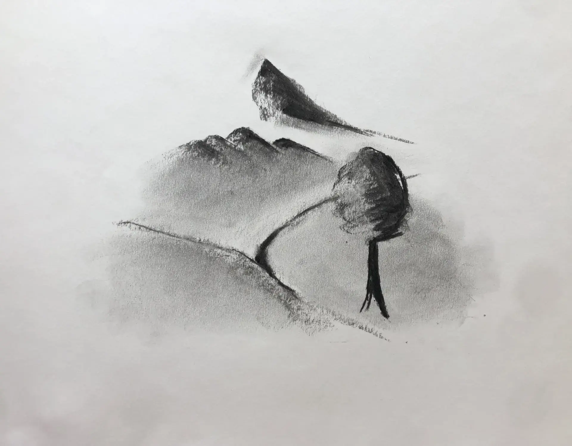 dessiner le relief d’un paysage au fusain