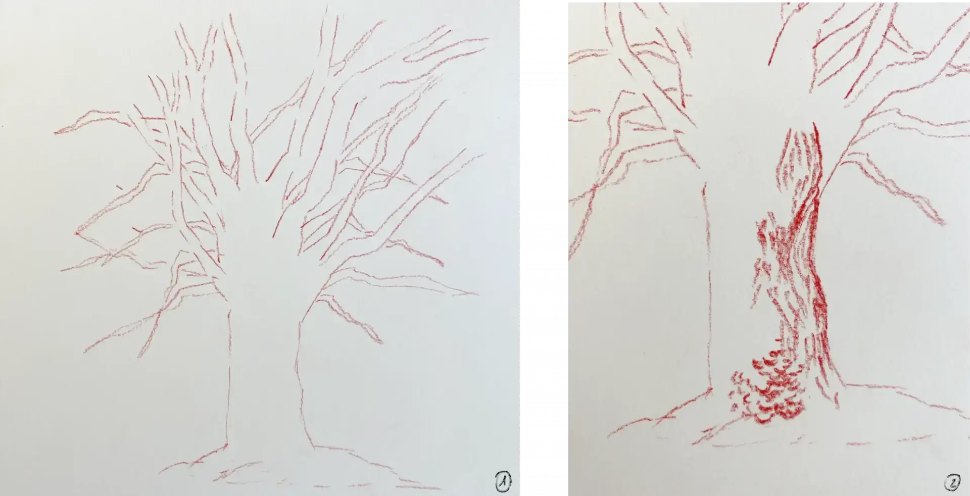 dessiner la base d’un arbre à la sanguine humide