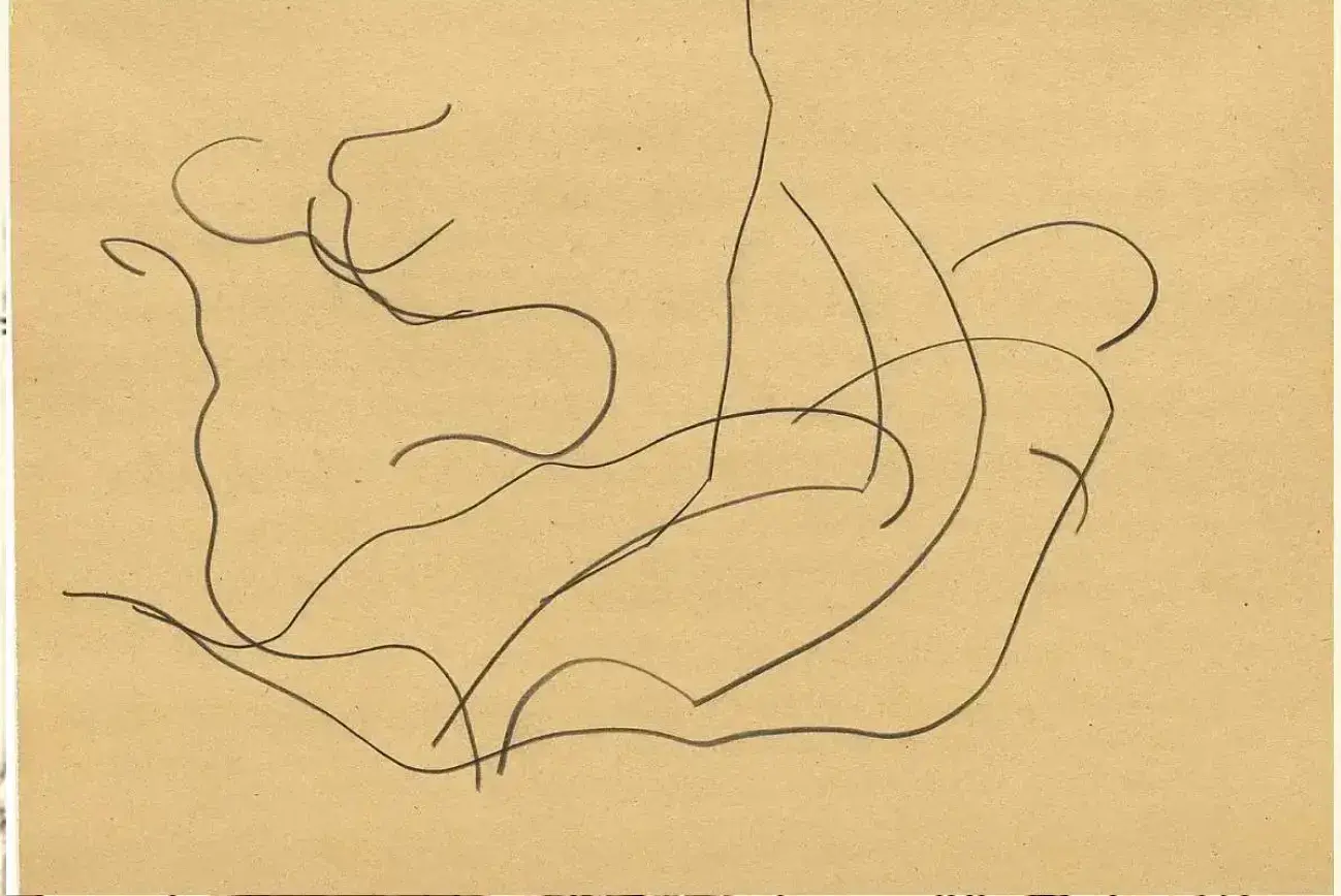 dessin automatique d’elisworth kelly