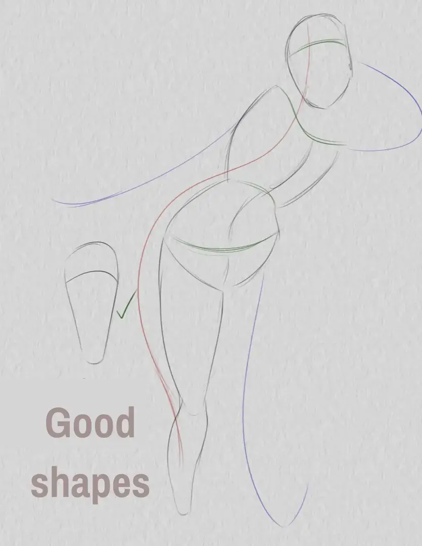 drawing of the correct limb shape of a pose
