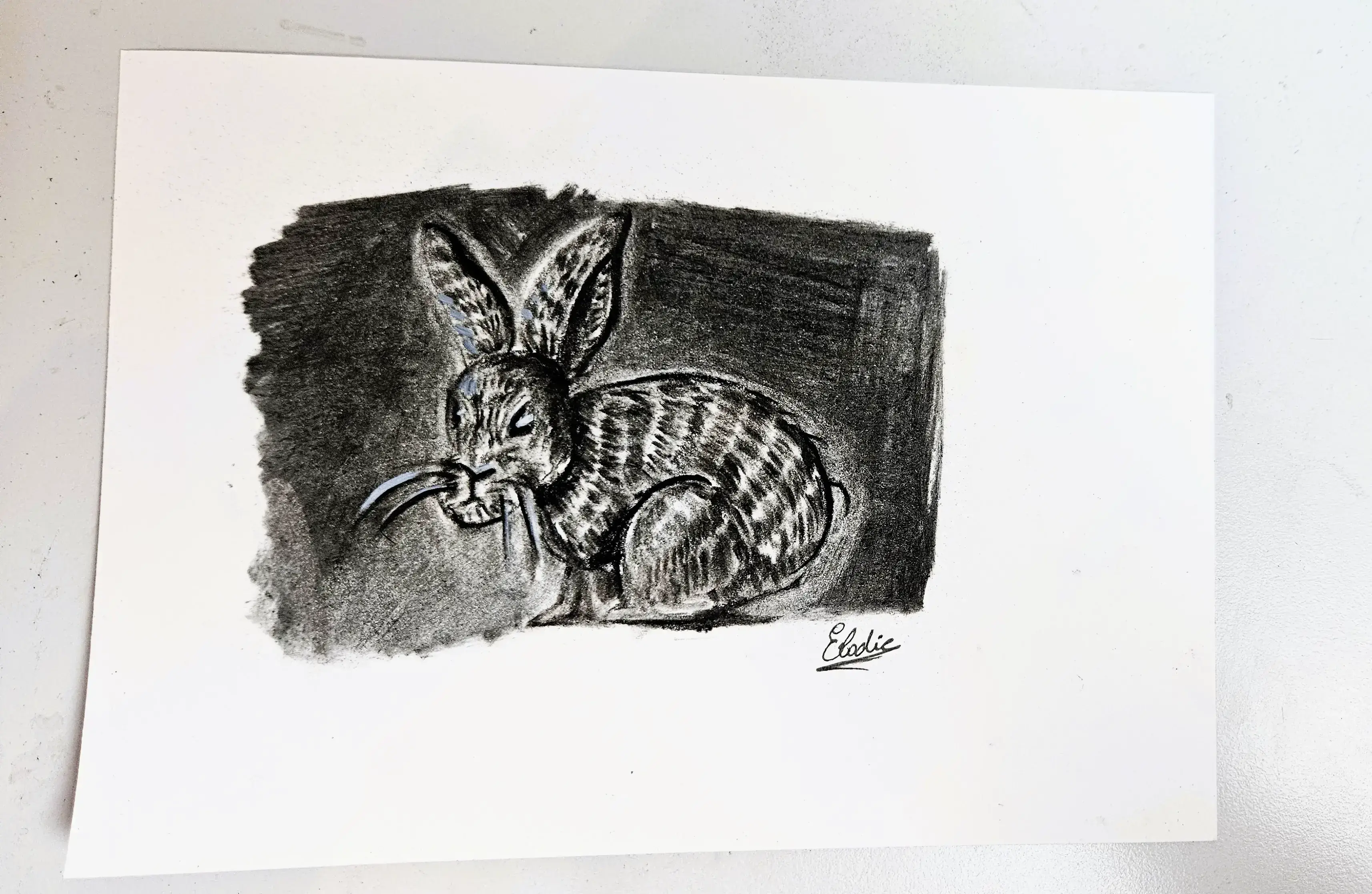 Aprender a Dibujar con Carboncillo: Guía completa