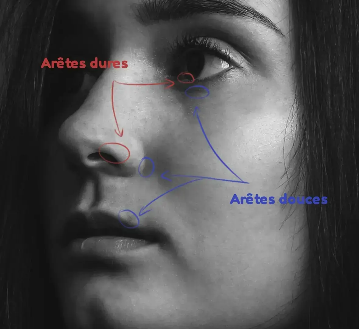 exemple d’une image pour dessiner un portrait réaliste
