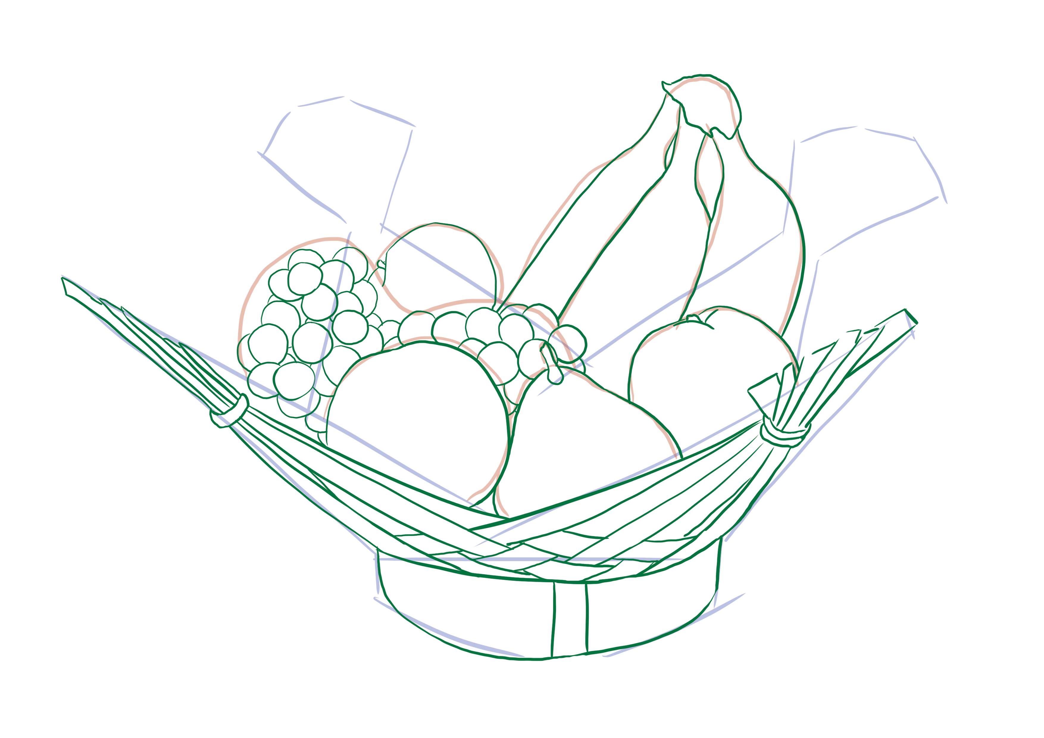 observational drawing of a fruit basket with grapes and an orange