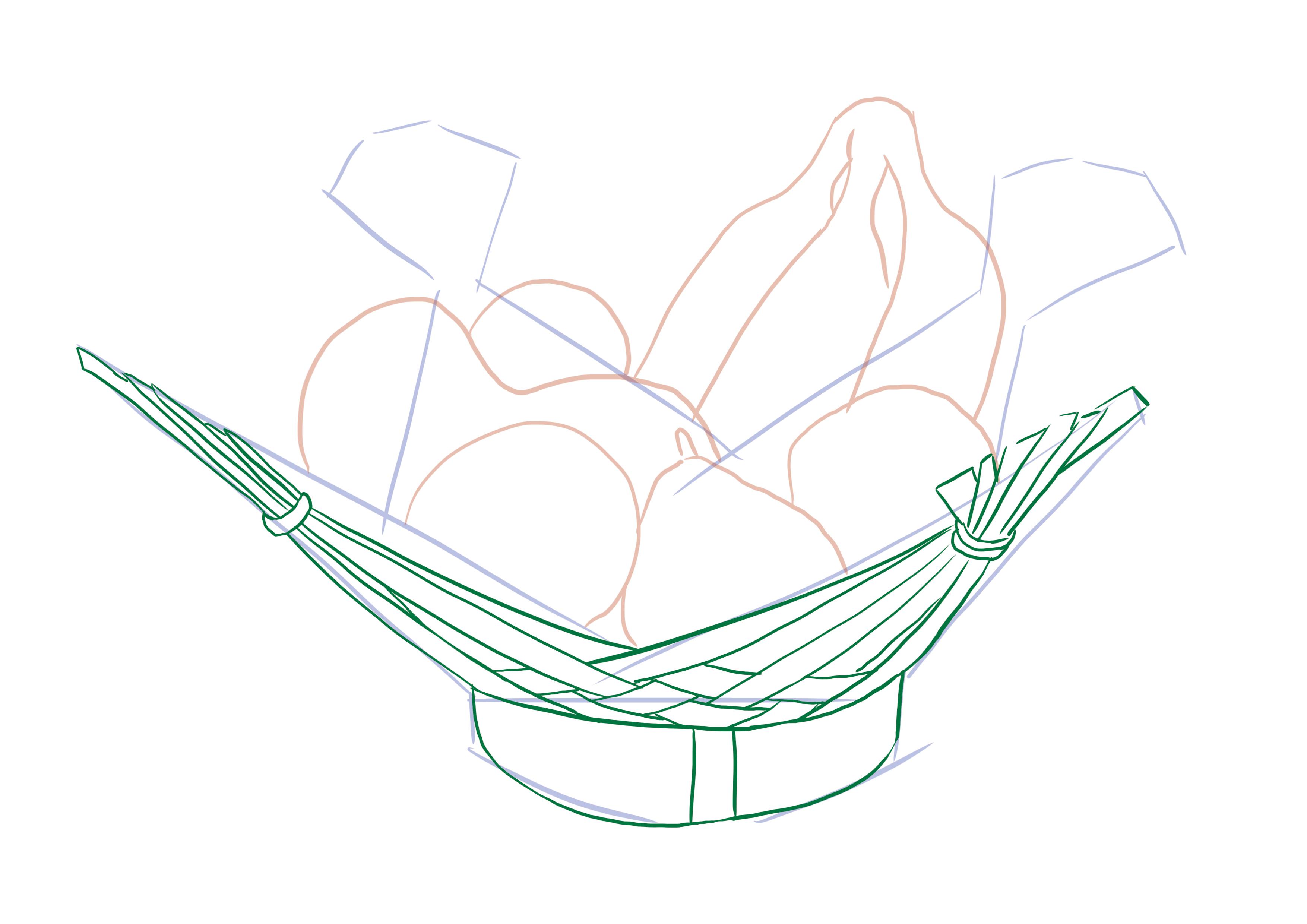 observational drawing of a fruit basket