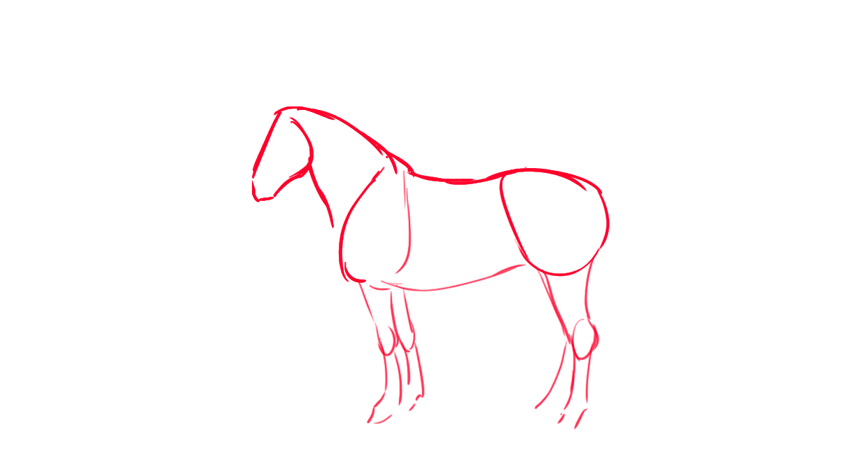 Croquis des étapes du cheval et du cavalier