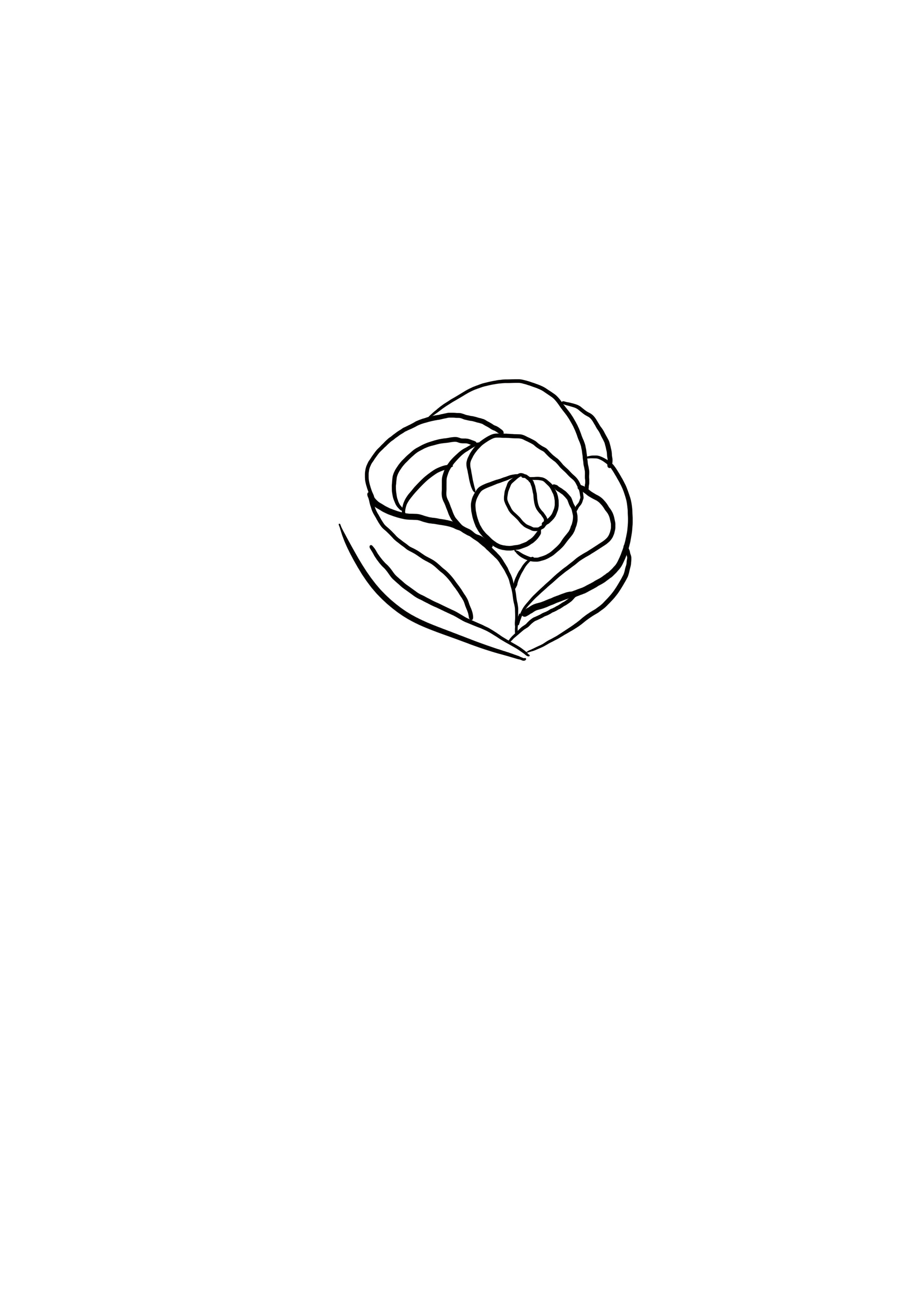 dessin difficile : rose étape 4