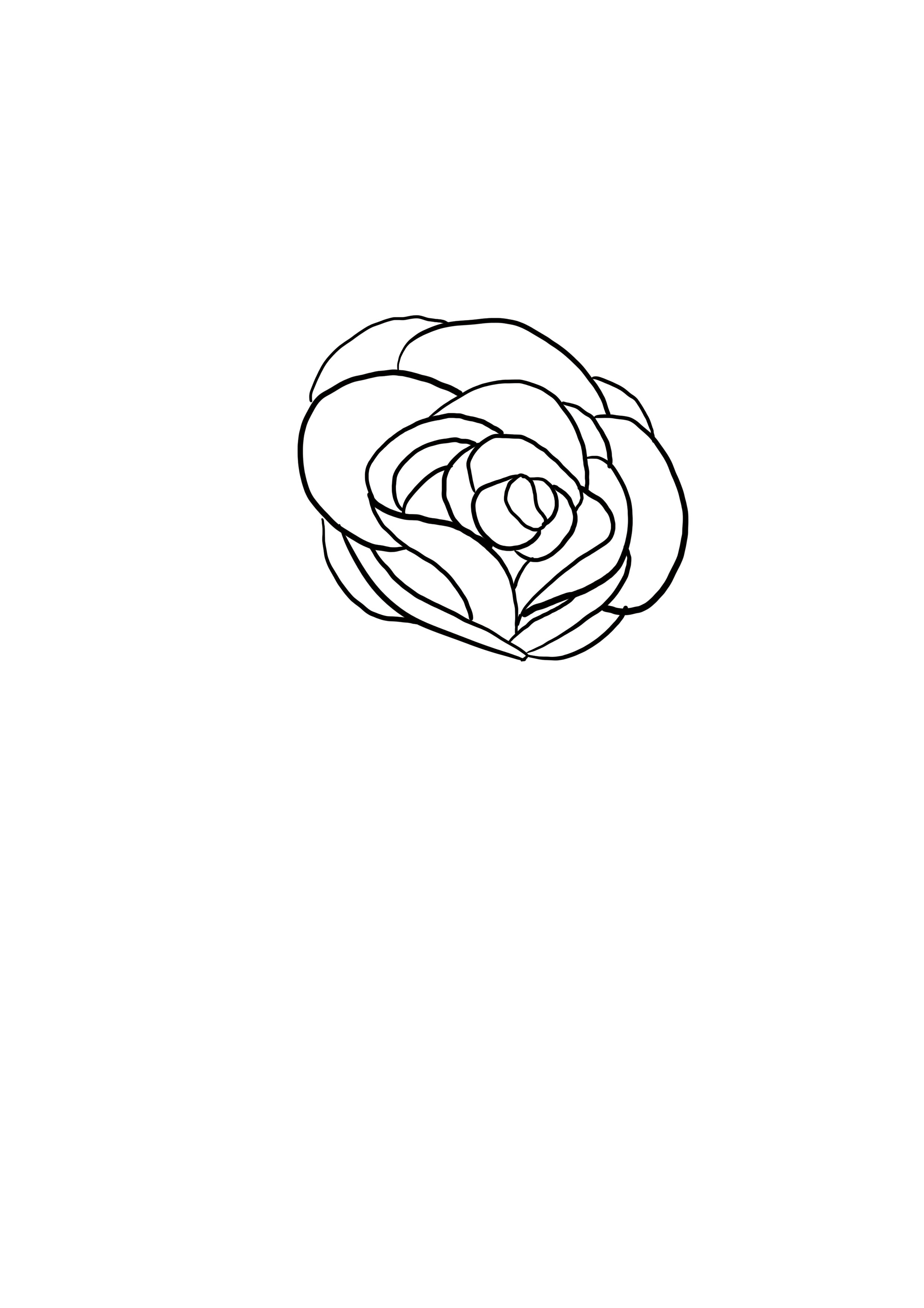 dessin difficile : rose étape 5