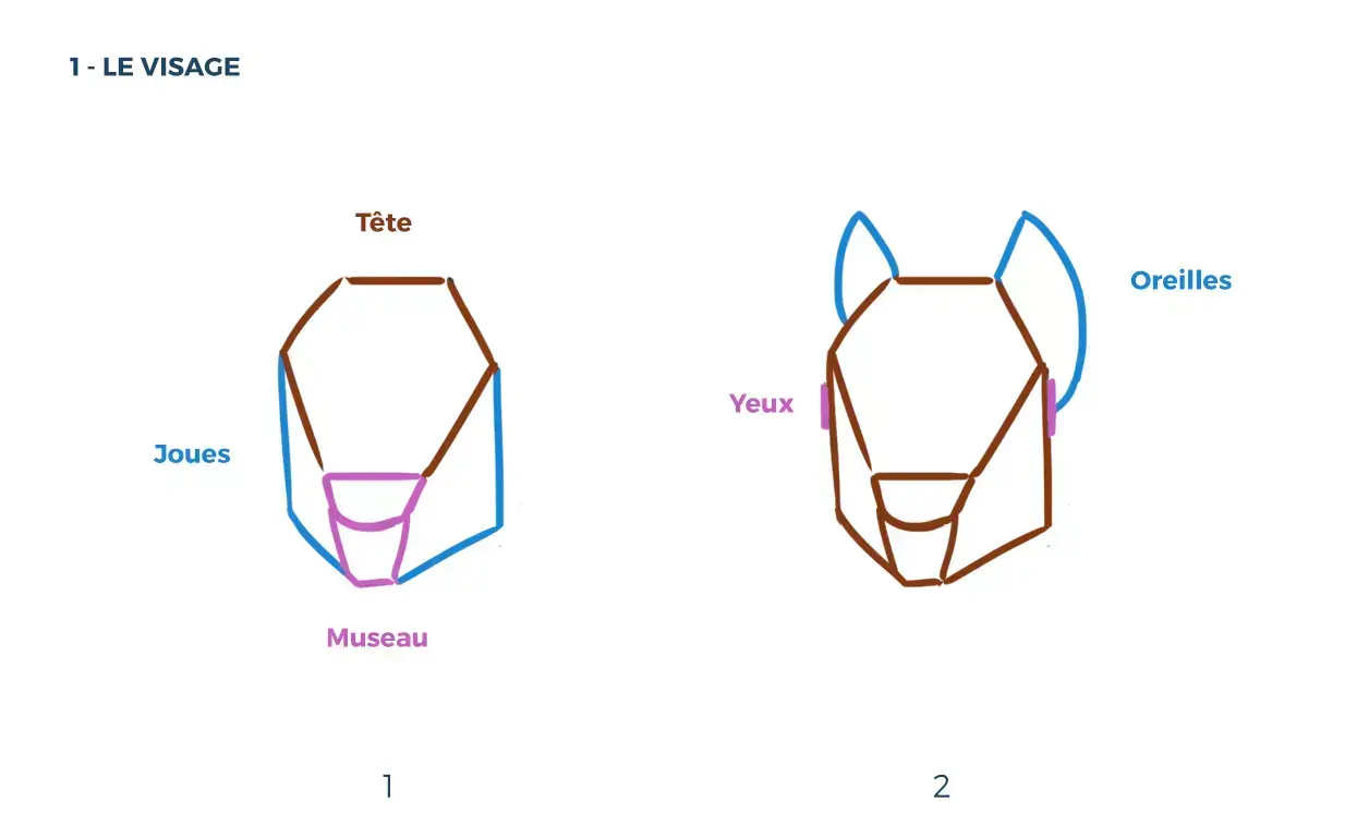 dessin du visage d’un écureuil