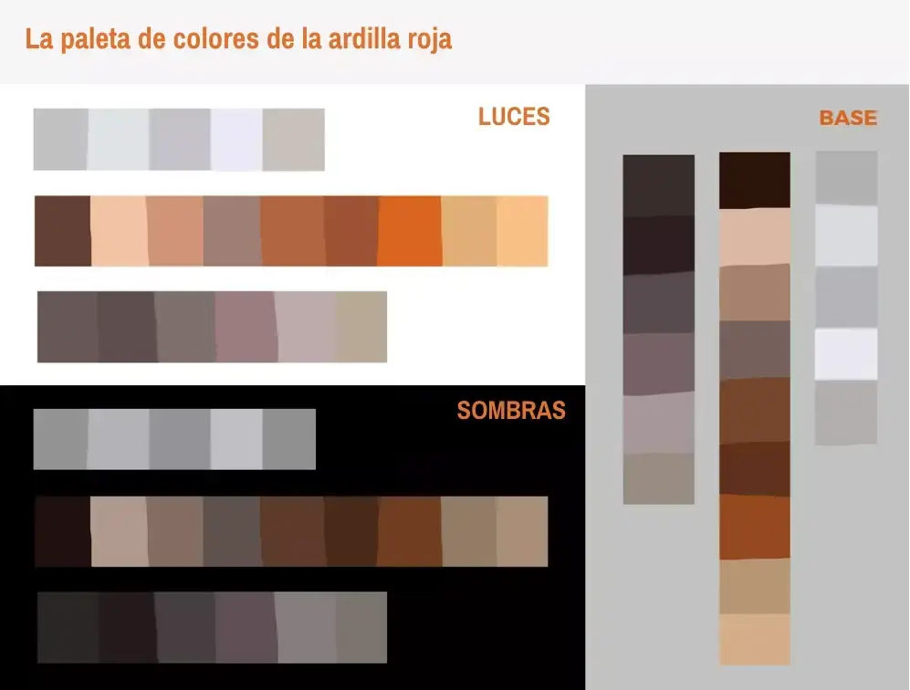 dibujo de la cara de una ardilla