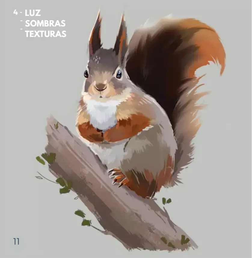 dibujo de los detalles de una ardilla roja