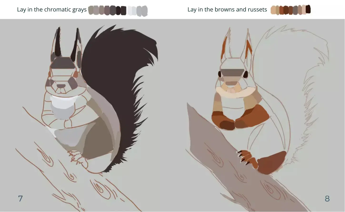draw the colors of a squirrel
