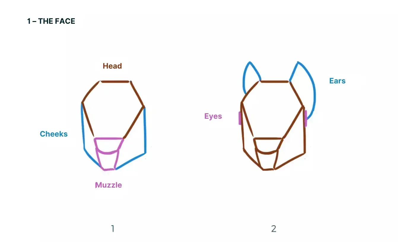 drawing of a squirrel's face