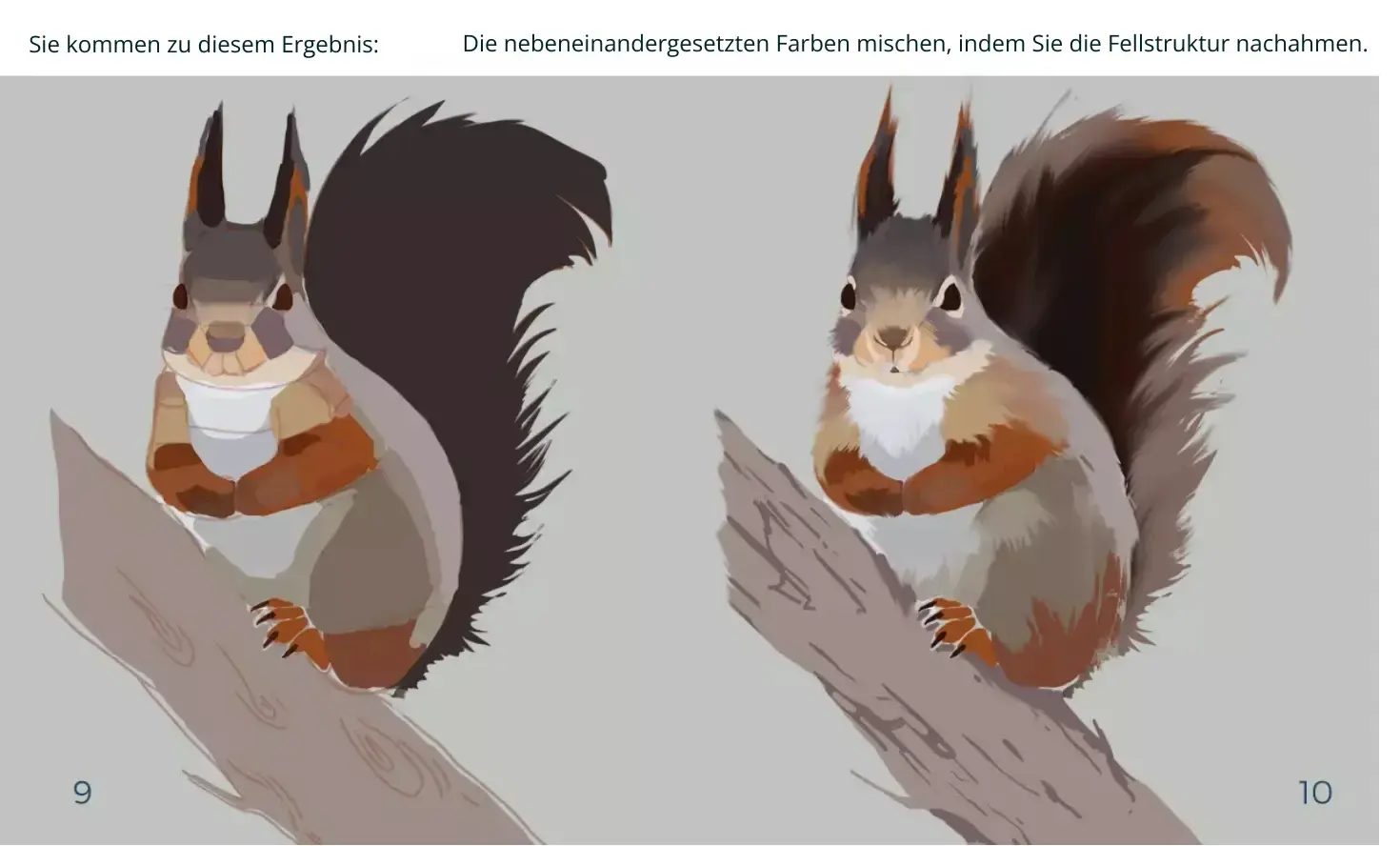 Zeichnung der Details eines Eichhörnchens