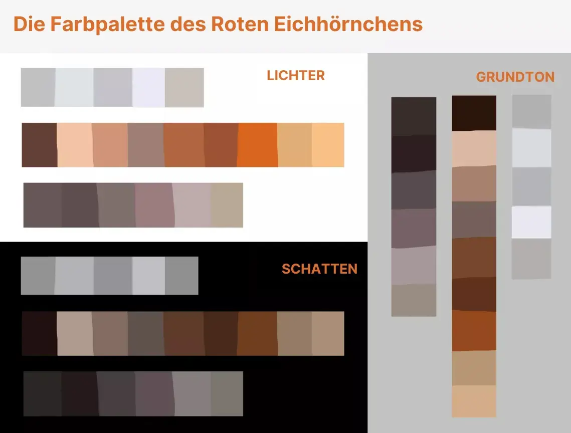 Zeichnung des Gesichts eines Eichhörnchens