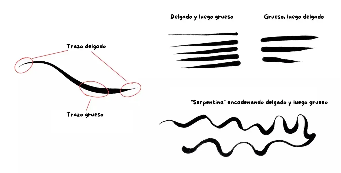 varios grosores de líneas