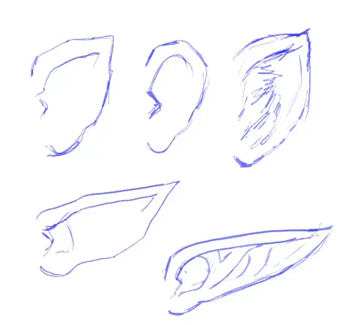 les différents formes d’oreilles d’elfe