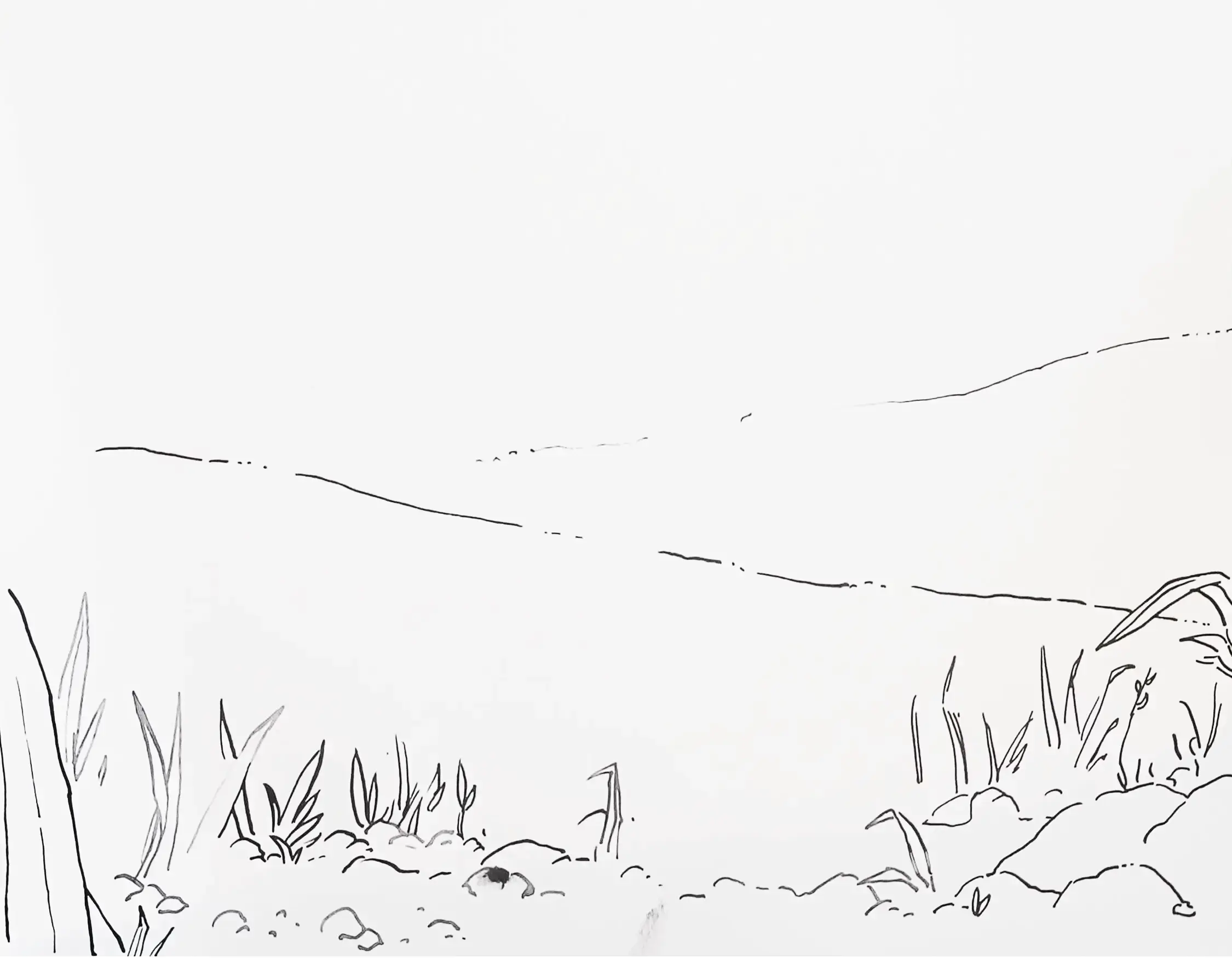 dessiner un chemin à l’encre de chine