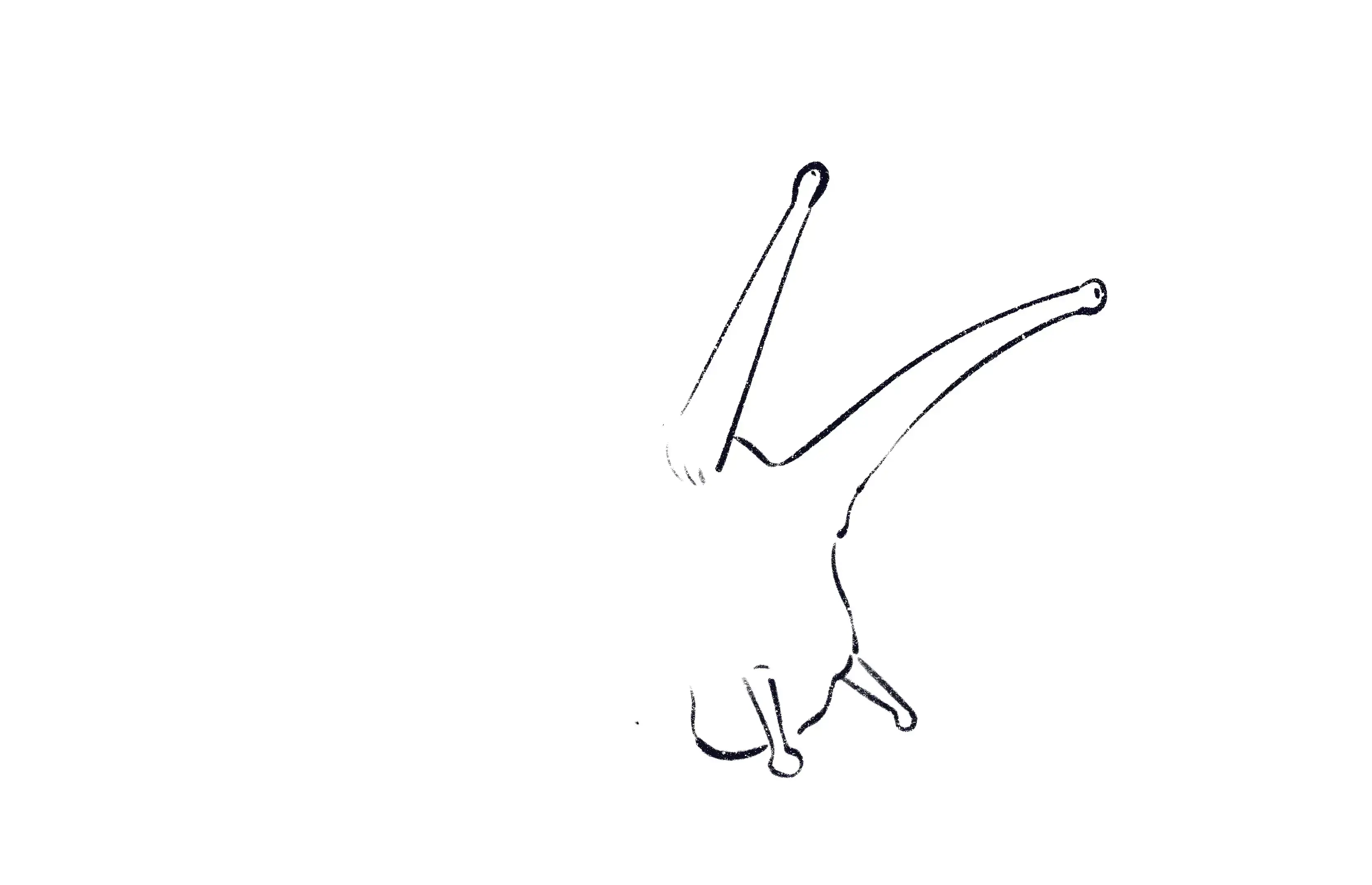 dessin de la bouche d’un escargot
