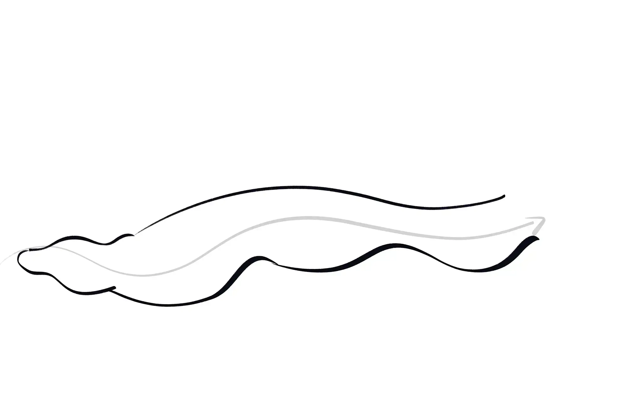 dessin de l’extrémité d’un escargot