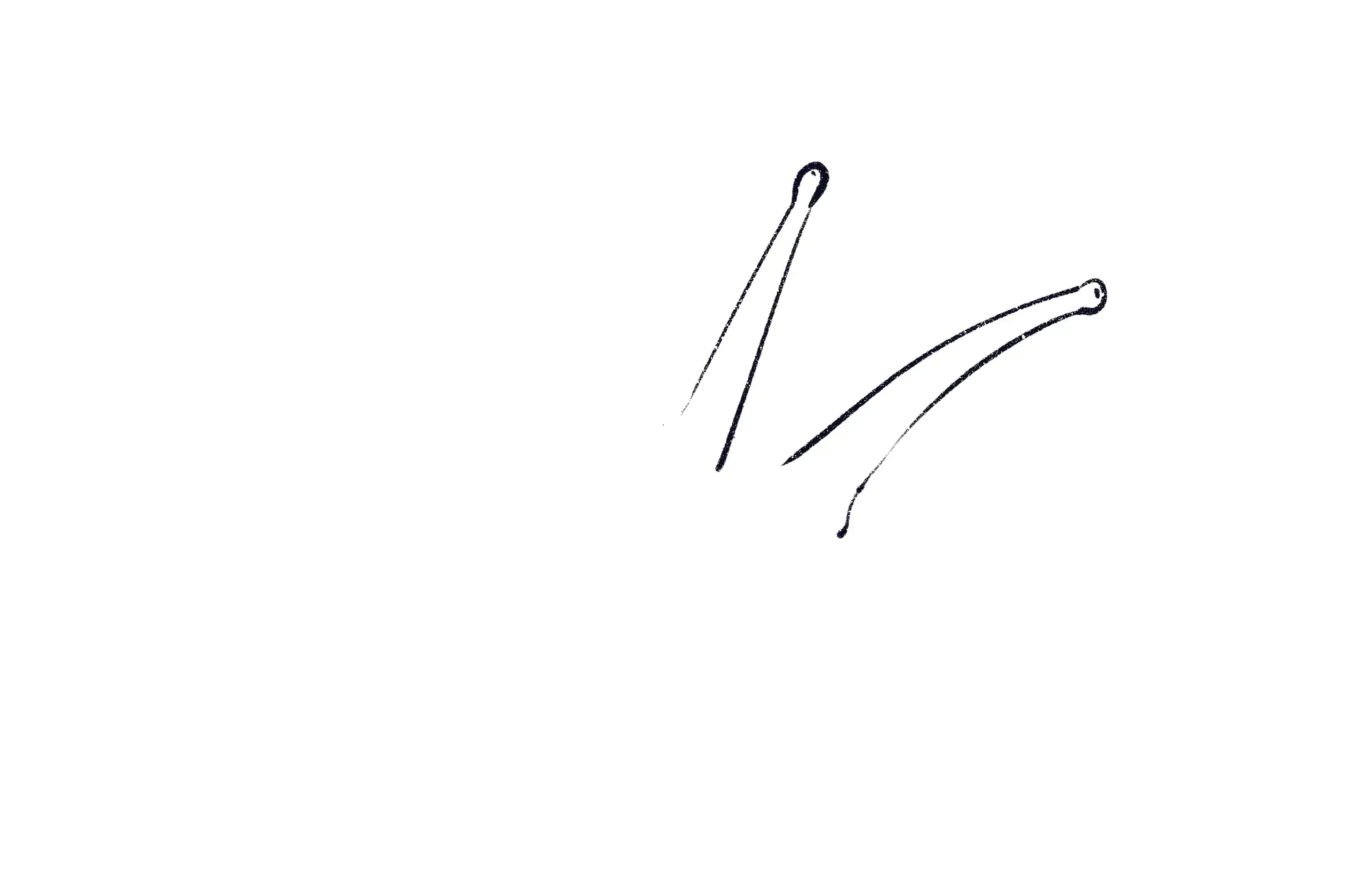 dessin des tentacules d’un escargot
