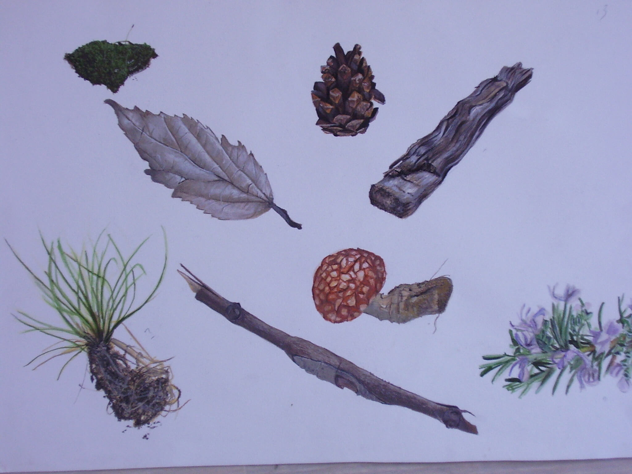 Ejercicios de dibujo para principiantes