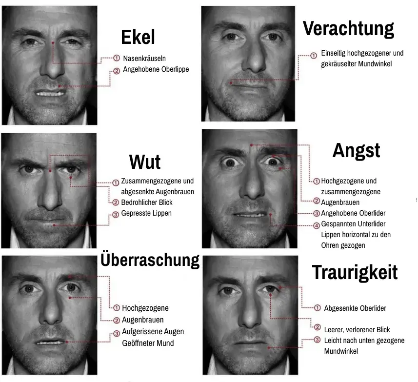 die wichtigsten Gesichtsausdrücke