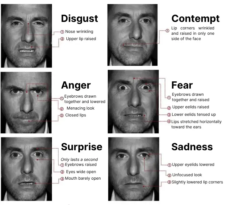 image showing the main facial expressions