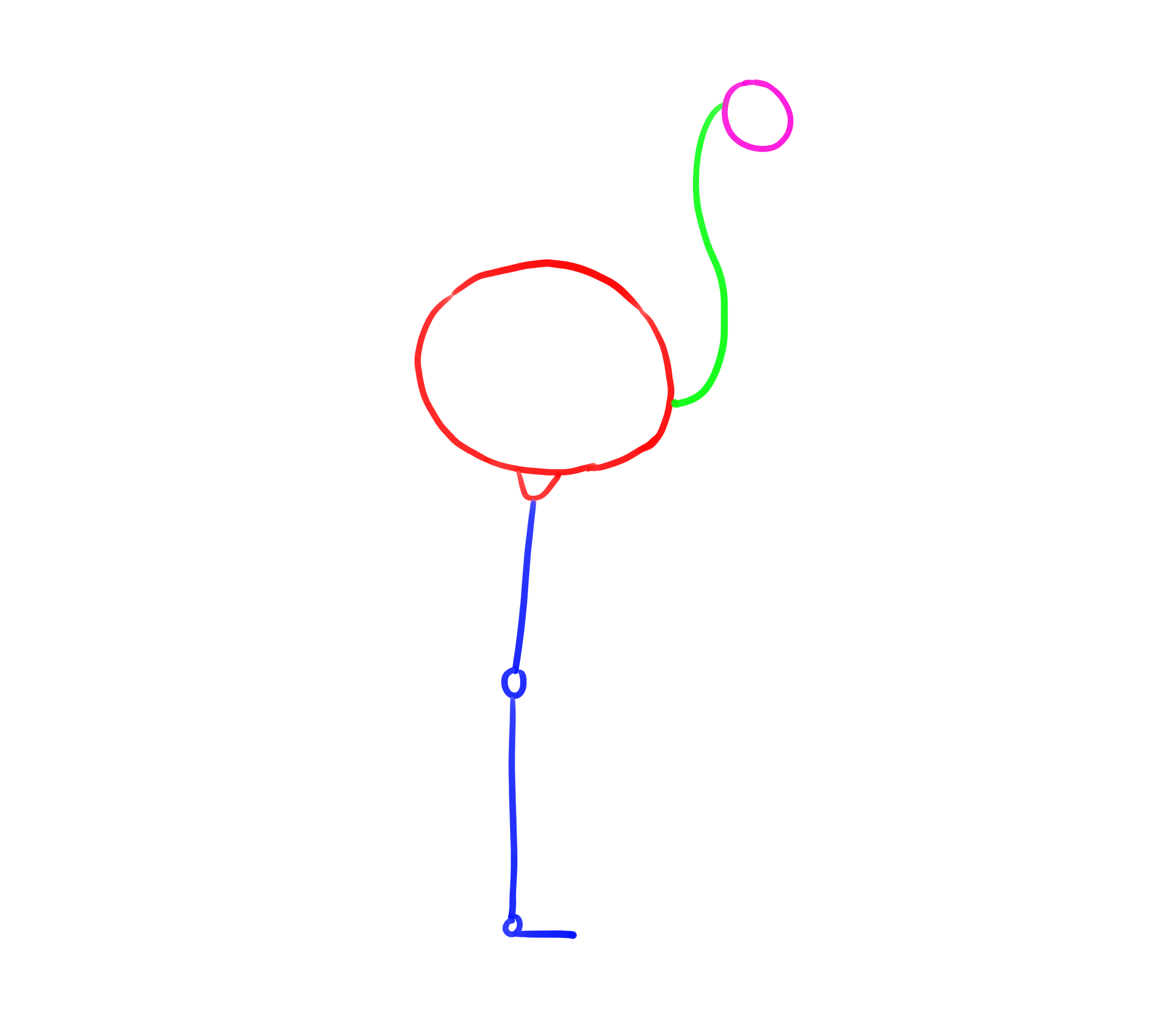 croquis de construcción del flamenco de perfil