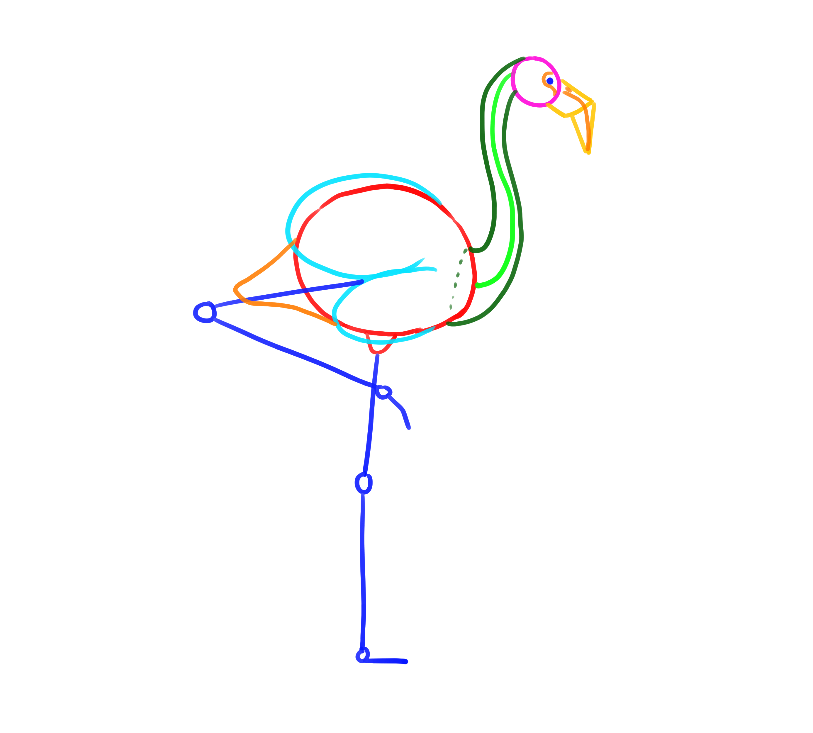 boceto de construcción de la cola del flamenco rosa