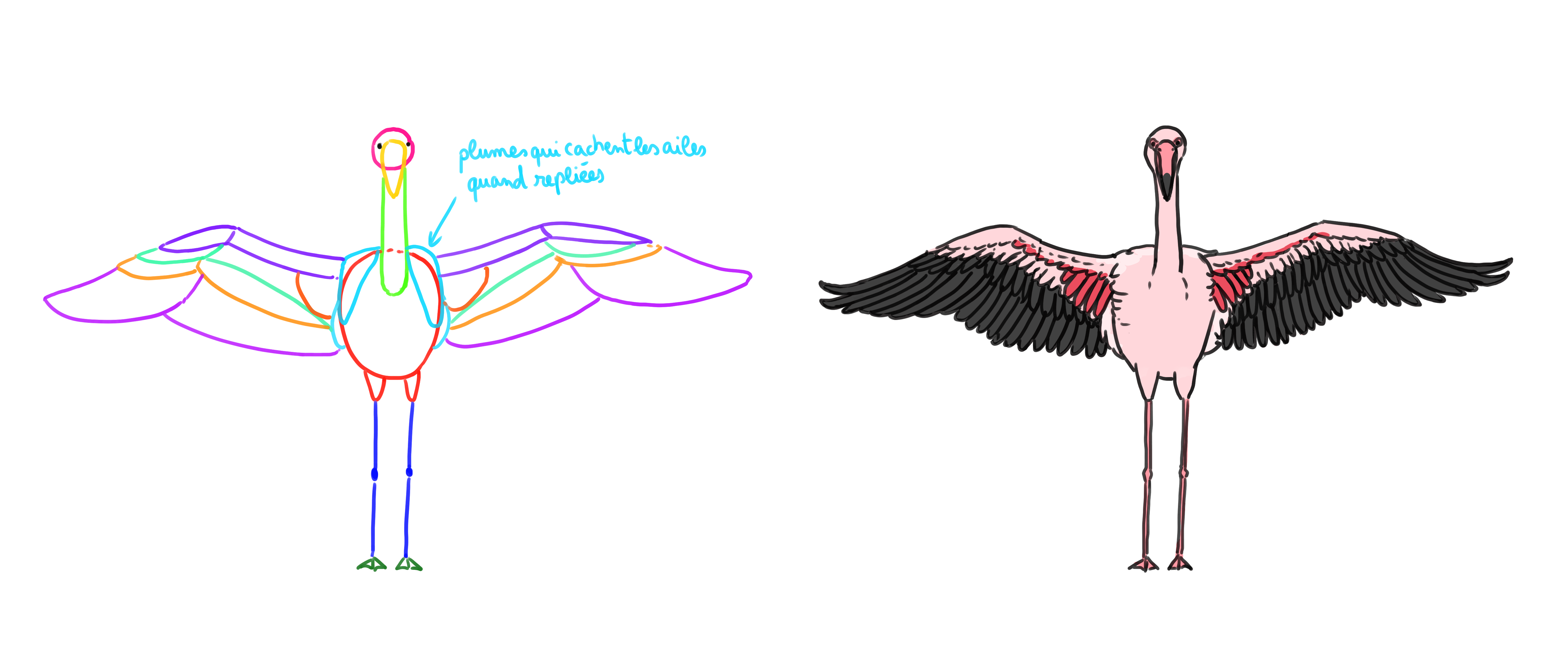 dibujar las alas de un flamenco de frente